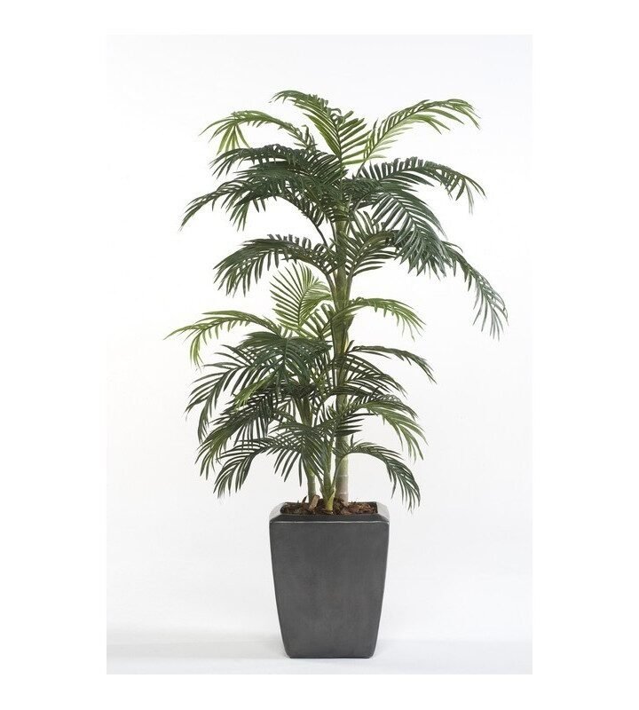 Árbol PALMERA PREMIUM