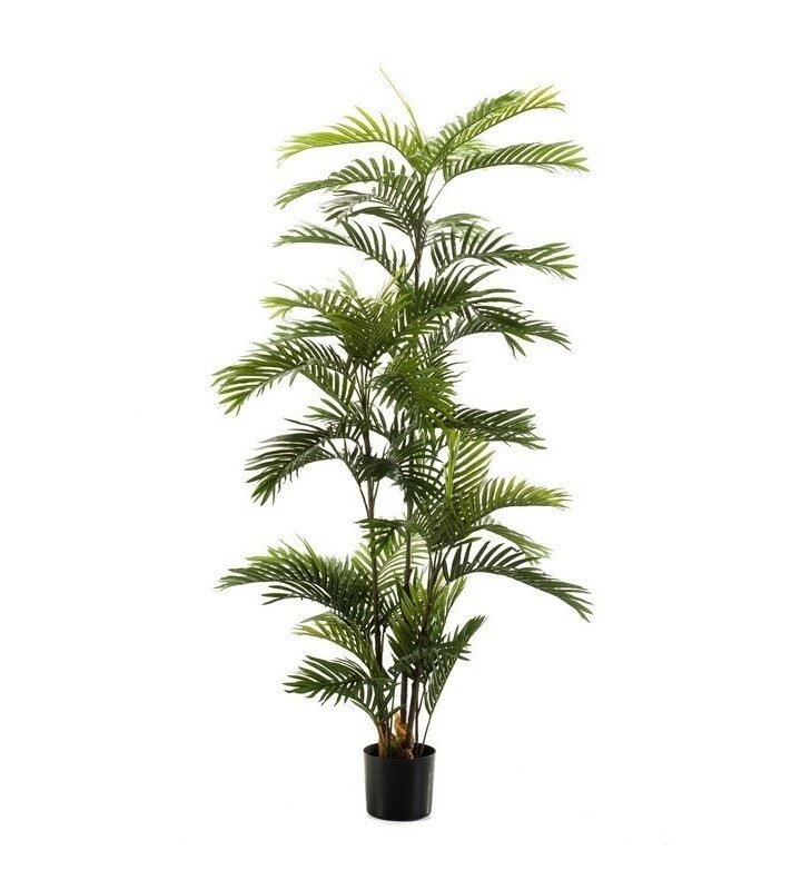 Árbol PALMERA ECO