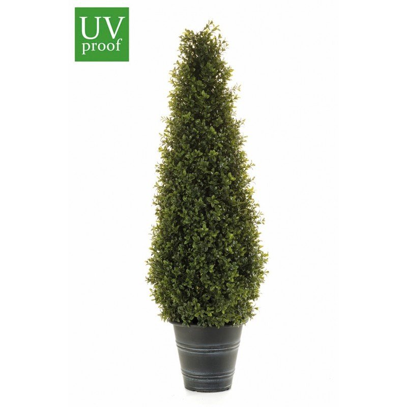 Árbol BOJ CONO