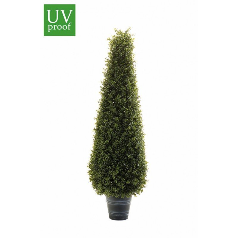 Árbol BOJ CONO - Imagen 2
