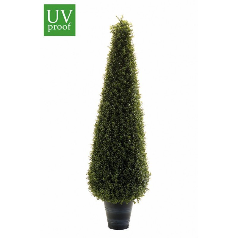 Árbol BOJ CONO - Imagen 3