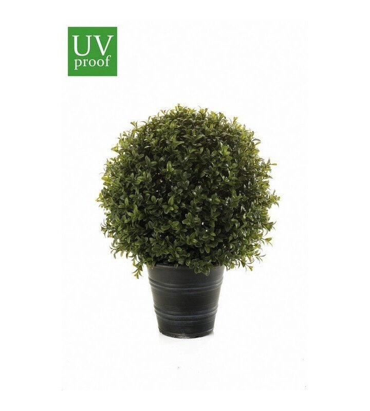 Árbol bola de BOJ con macetero