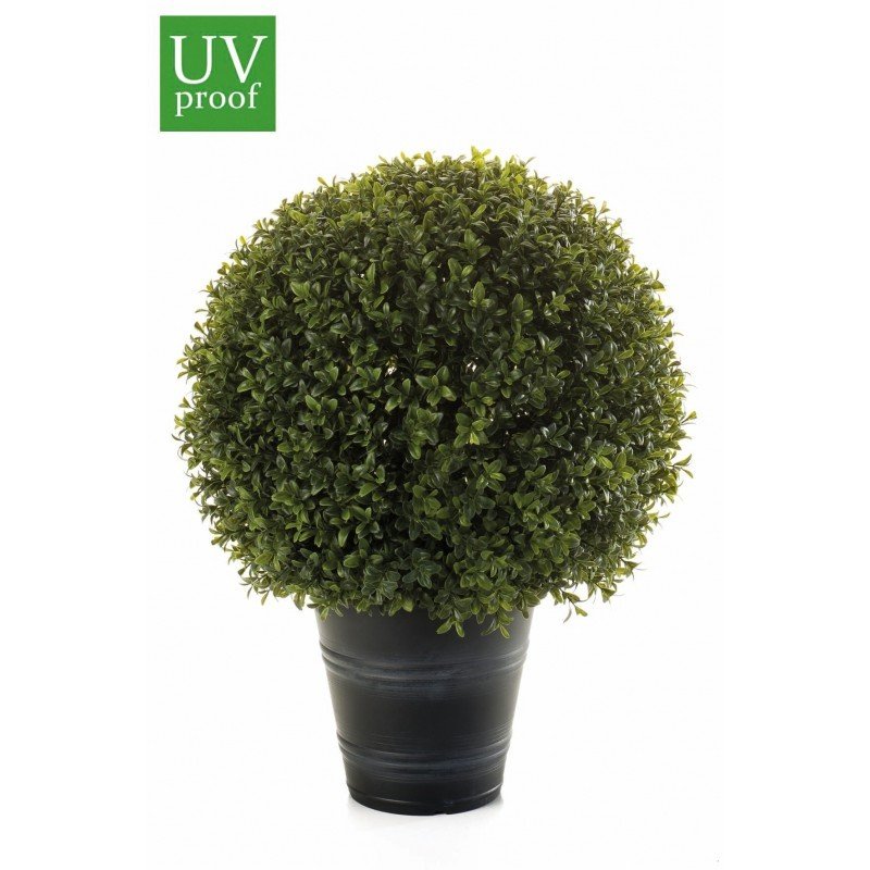 Árbol bola de BOJ con macetero - Imagen 2