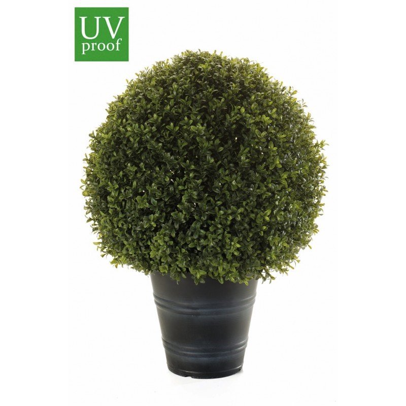 Árbol bola de BOJ con macetero - Imagen 3
