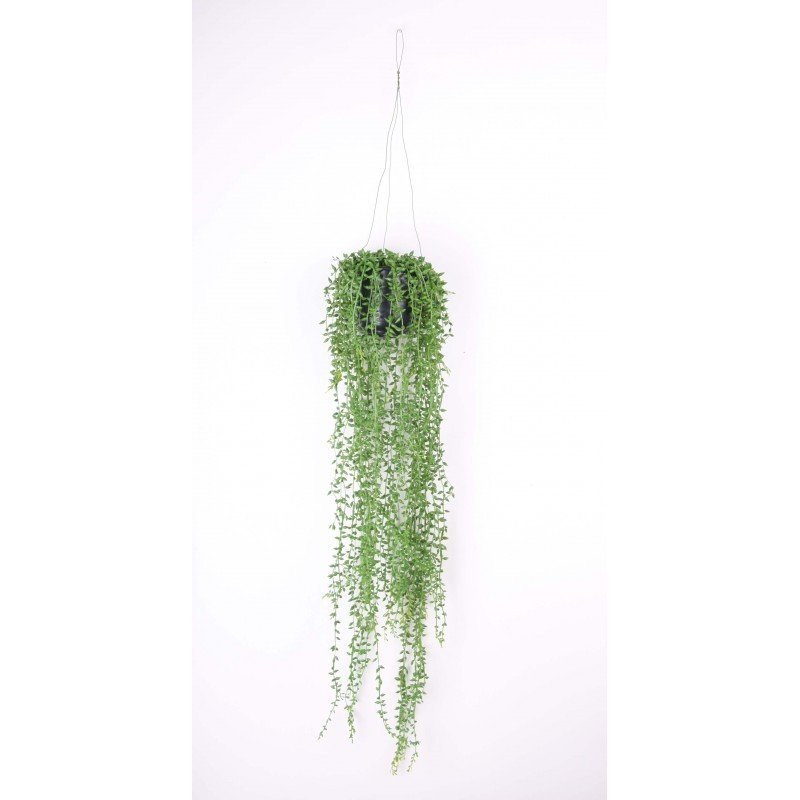 Decorativa Techo SENECIO (6 uds)