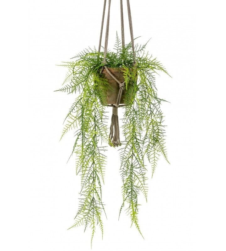 Decorativa Techo HELECHO PLUMOSO (3 uds)
