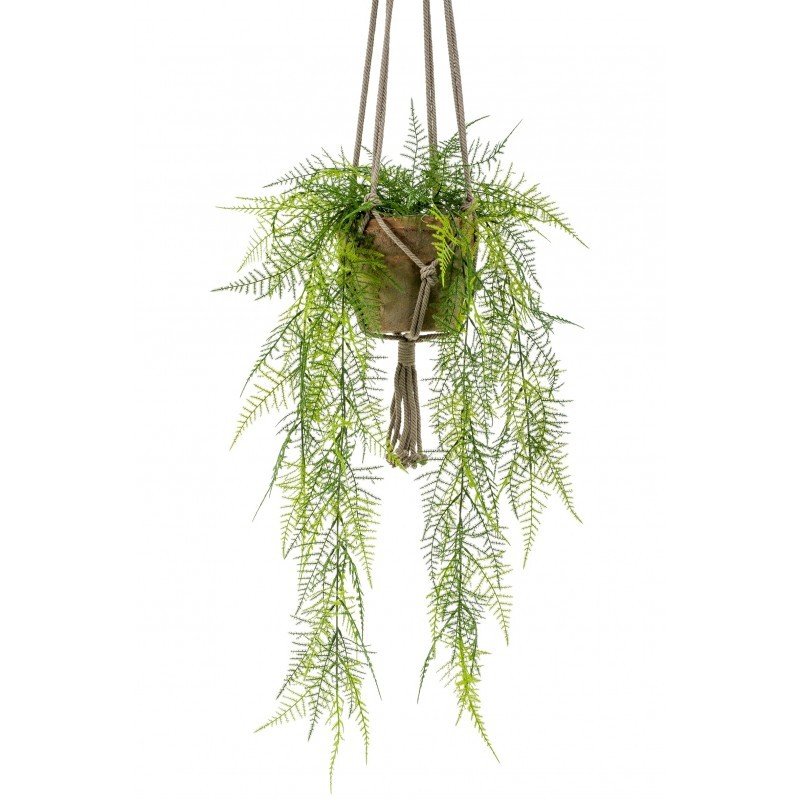 Decorativa Techo HELECHO PLUMOSO (3 uds)