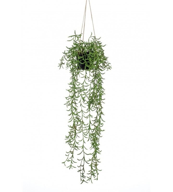 Decorativa Techo SENECIO RADICANS (6 uds)