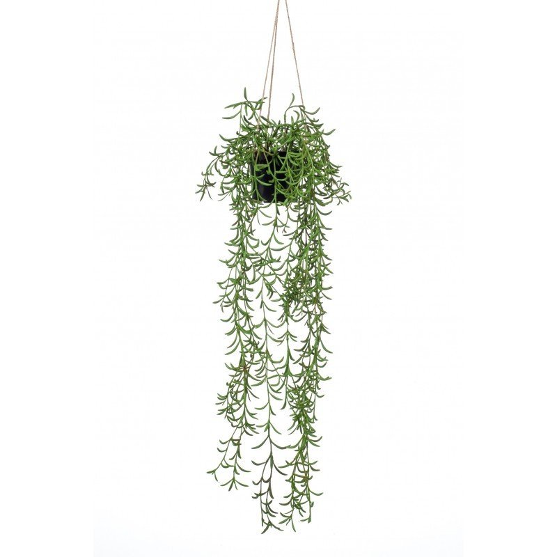 Decorativa Techo SENECIO RADICANS (6 uds)