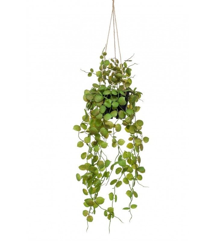 Decorativa Techo CEROPEGIA (6 uds)