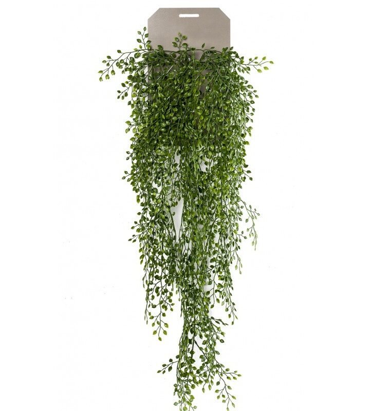 Planta Colgante JAZMÍN (6 uds)