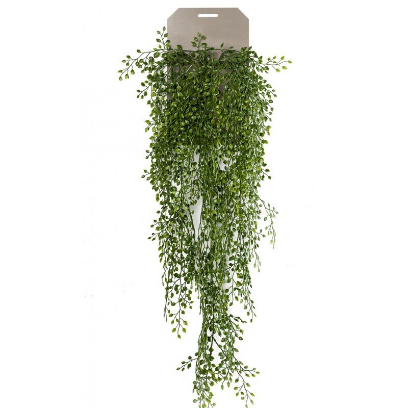 Planta Colgante JAZMÍN (6 uds)