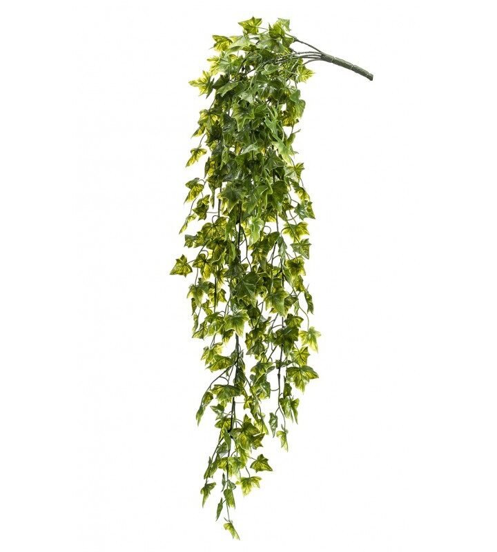 Arbusto Colgante Exterior HIEDRA