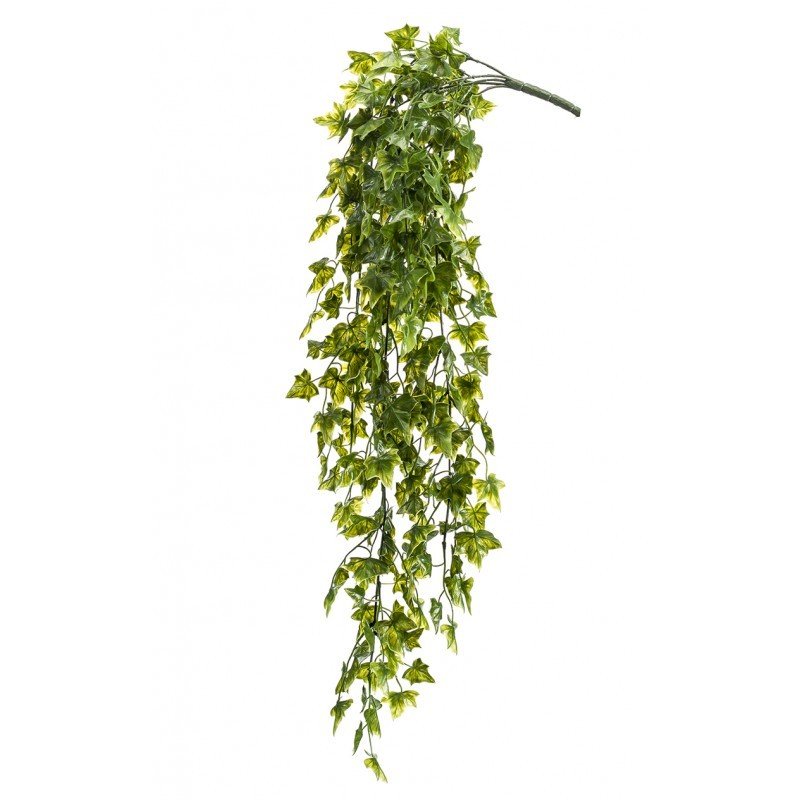 Arbusto Colgante Exterior HIEDRA