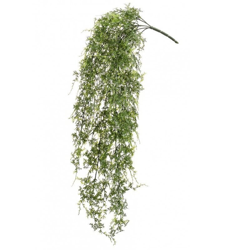 Planta Colgante Exterior HELECHO
