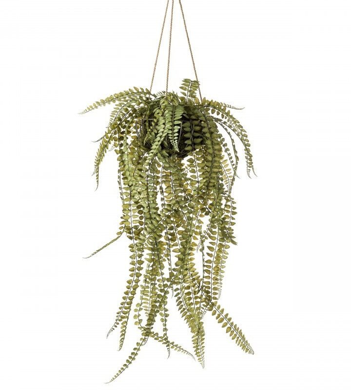 HELECHO Decorativa Techo Kokedama