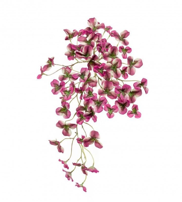 Arbusto Colgante OXALIS VIOLETA (12 uds)