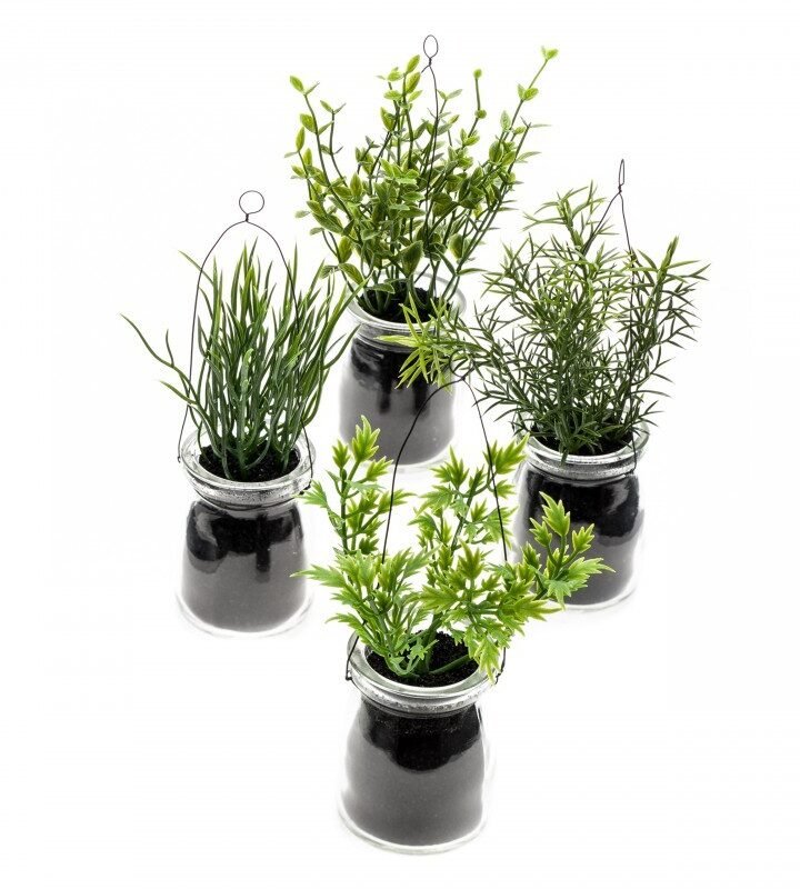 Conjunto de 4 HIERBAS (3 conjuntos)