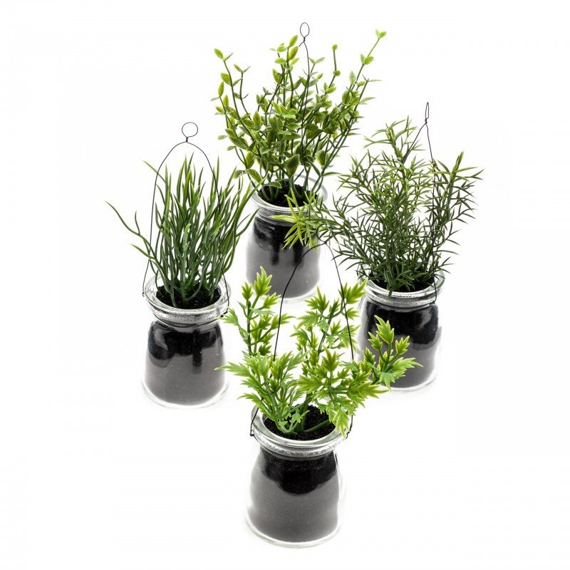 Conjunto de 4 HIERBAS (3 conjuntos)