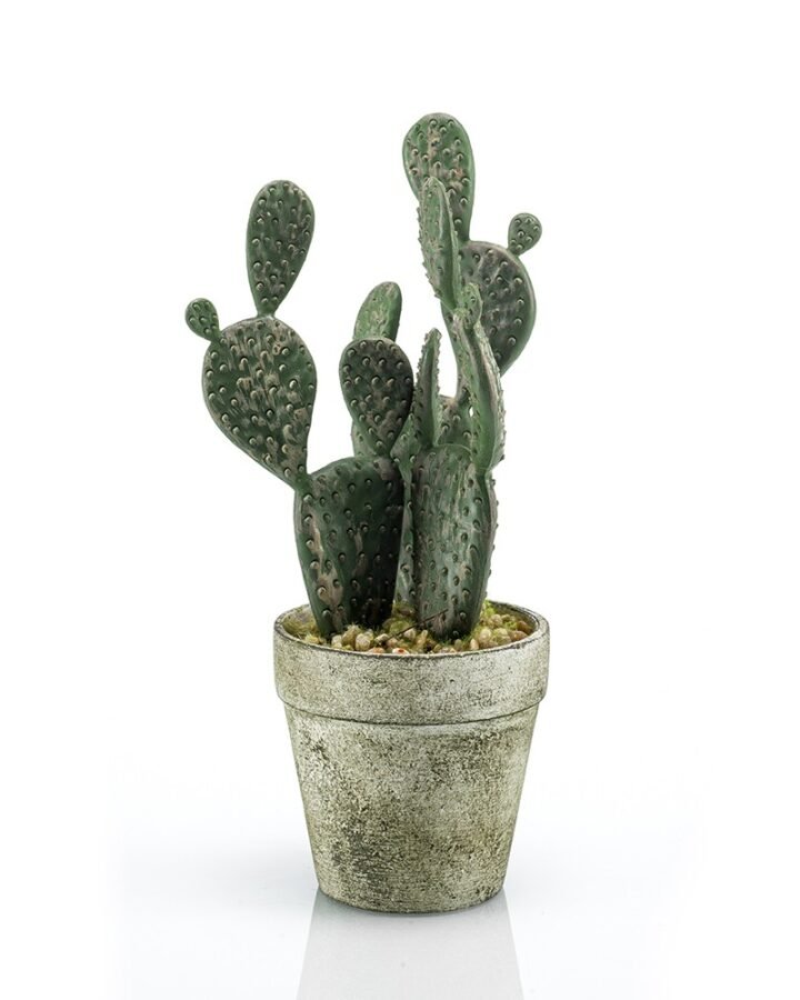 Mini CACTUS PLANO (6 uds)