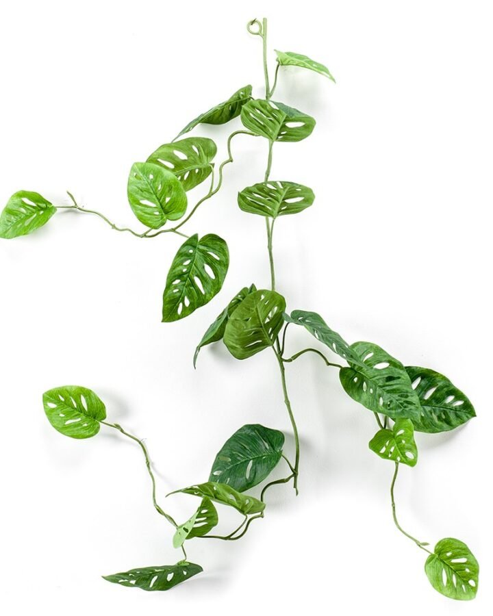 Guirnalda MONSTERA (12 uds)