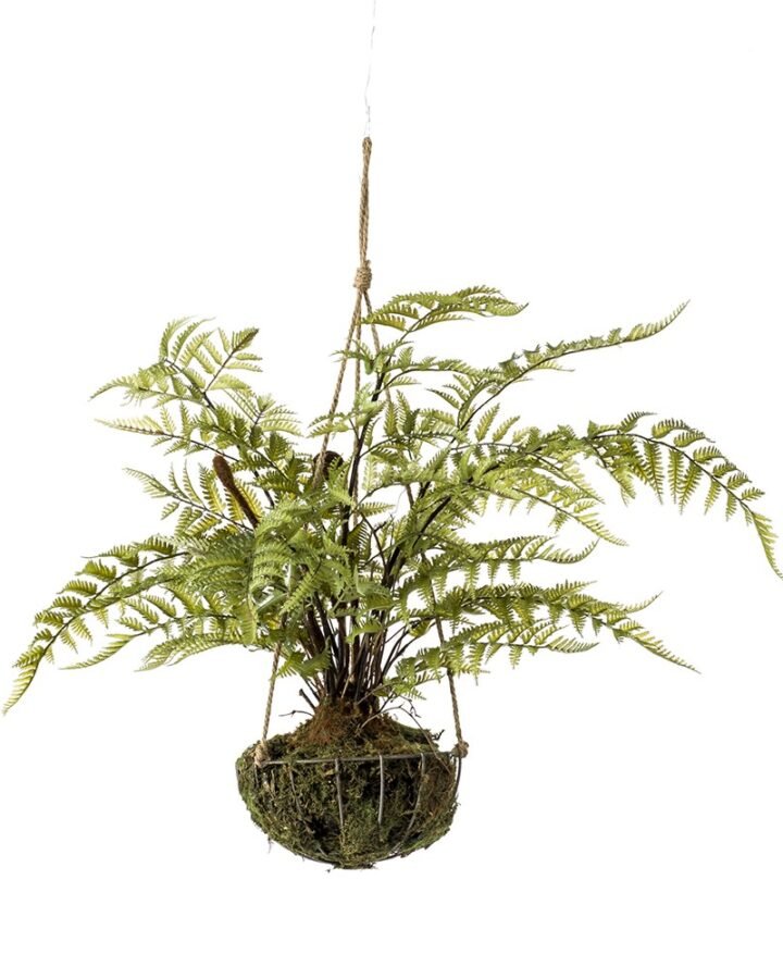 Decorativo Techo Kokedama HELECHO