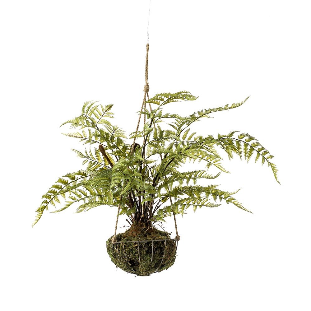 Decorativo Techo Kokedama HELECHO