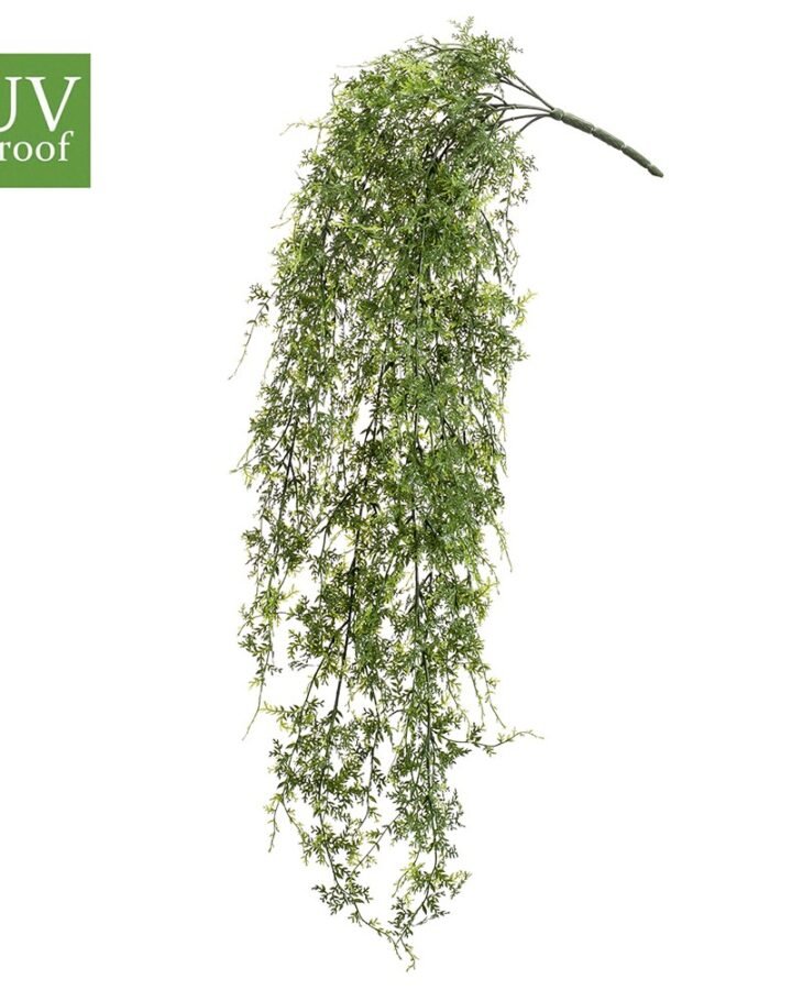 Planta colgante HELECHO UV (12 uds)