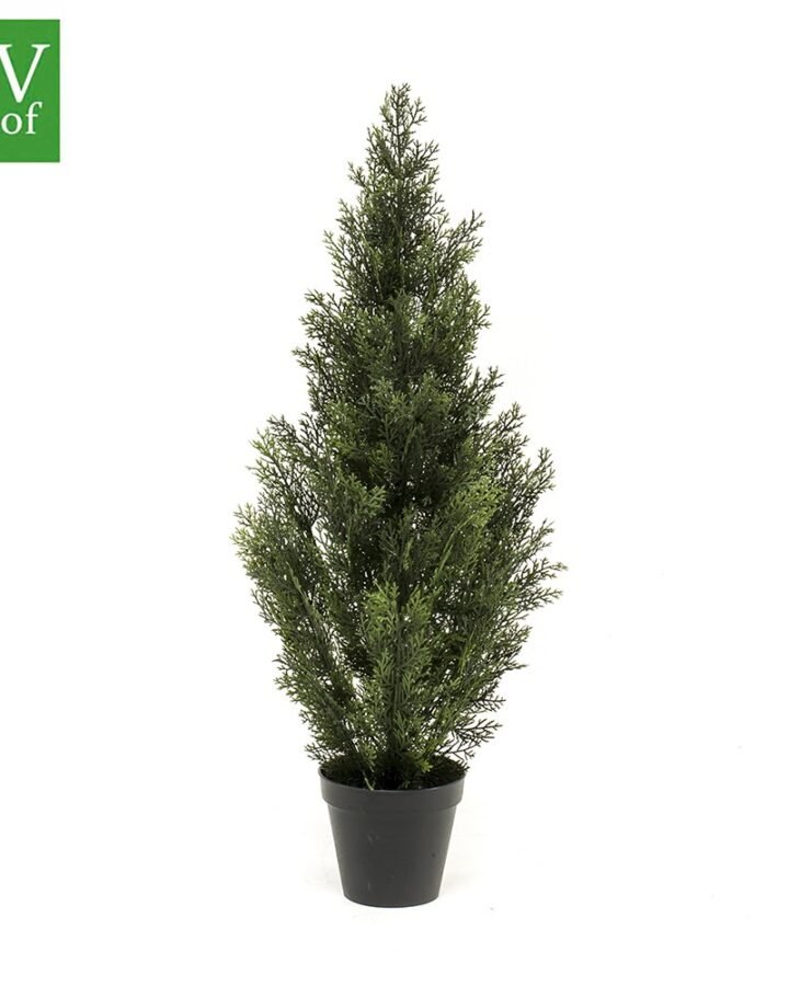 Árbol ARIZÓNICA