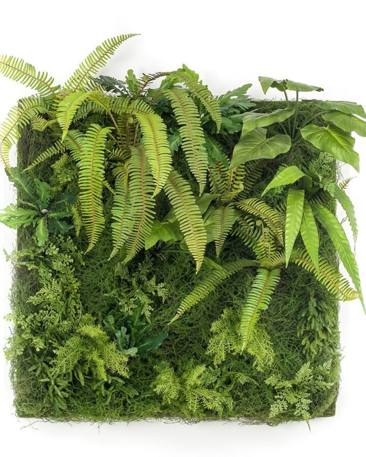 Jardín Vertical SALVAJE MUSGO
