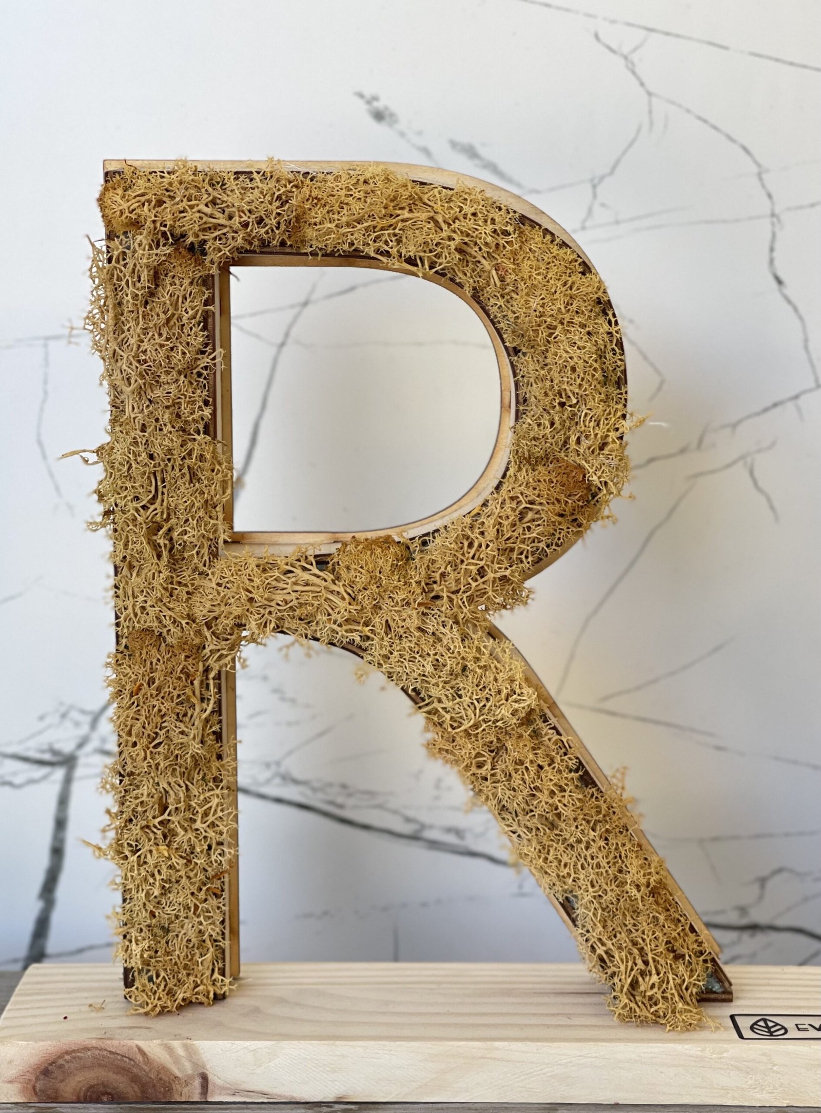 Letras musgo multicolor - Imagen 2