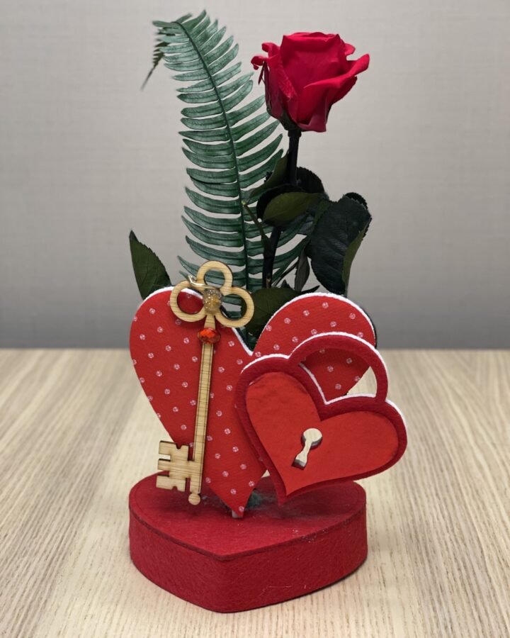Mi corazón
