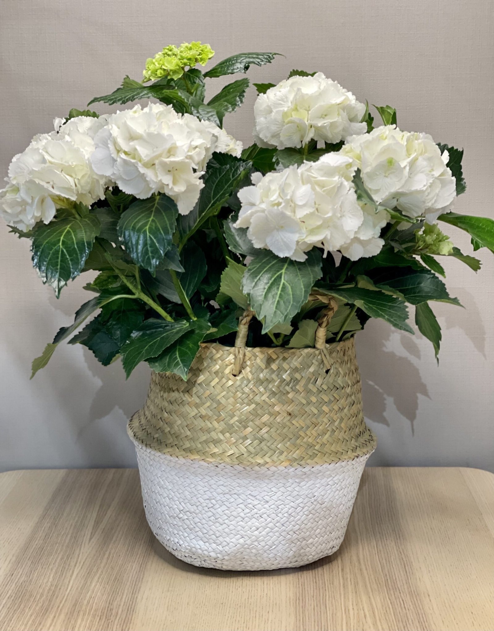 Capazo HORTENSIA BLANCA