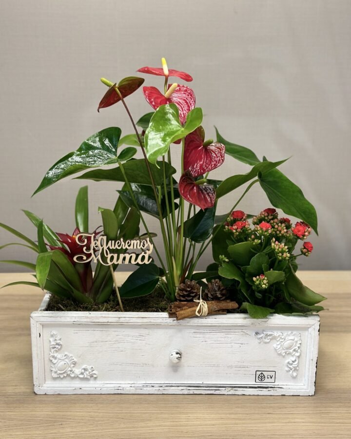 Cajón blanco Mamá eres única