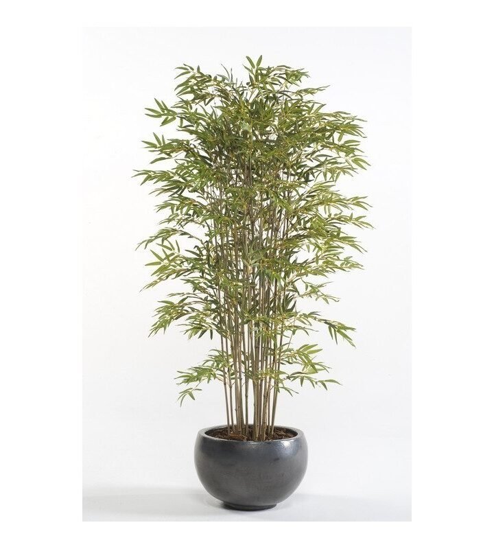 Árbol BAMBÚ DELUXE